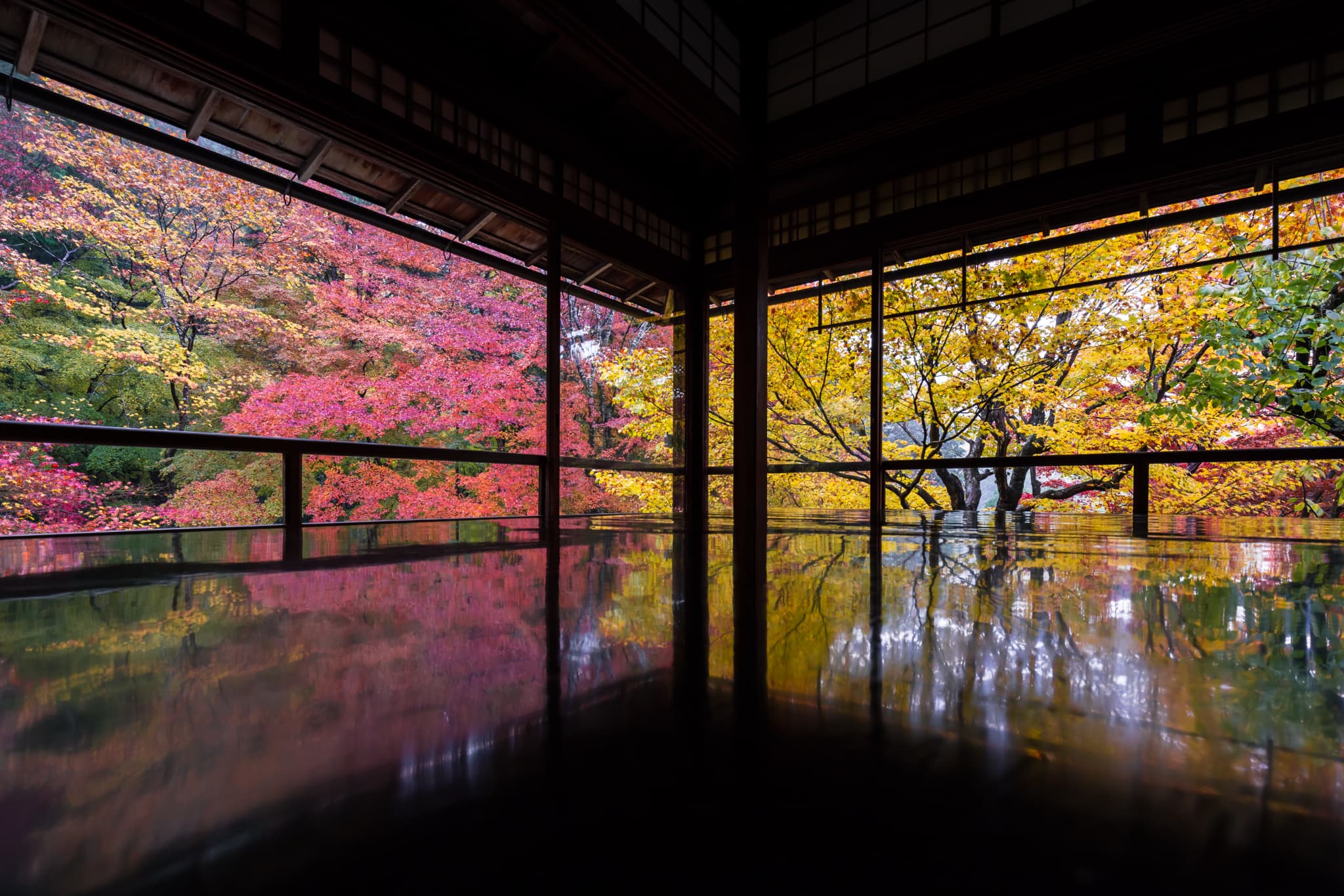 室内から見る紅葉